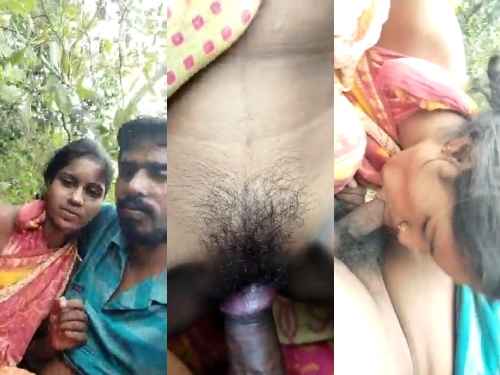 Desi Outdoor sex video