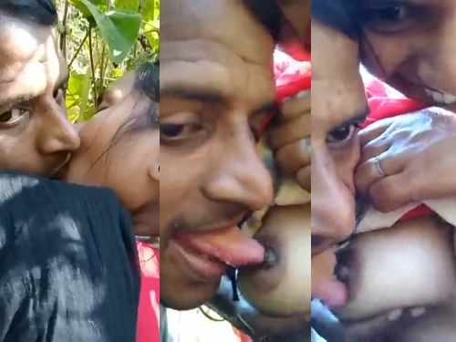 Tamil Lovers Outdoor Boob Sucking Sex Video