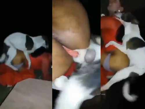 Hot Bhabhi Outdoor Fucked By a Dog